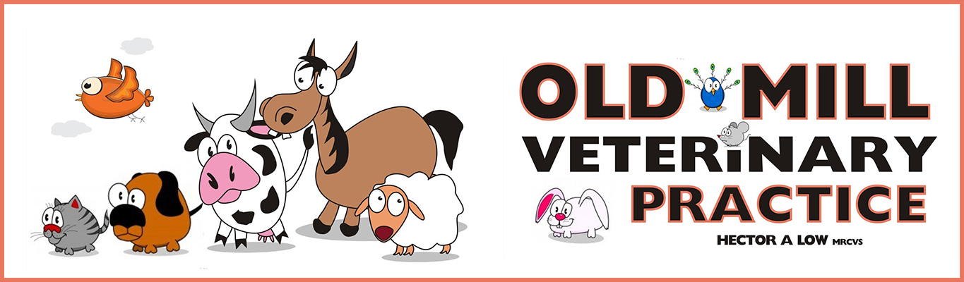Visit Old Mill Veterinary Practice home page