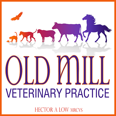 Old Mill Vets In Stornoway